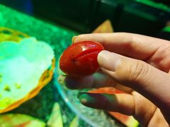-唱吧麦颂KTV(马驹桥店)