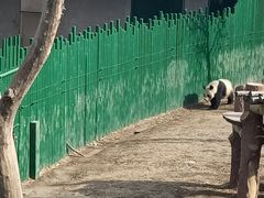 -沈阳森林动物园