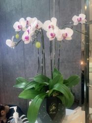 -意廊 Hair Salon