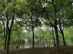 -梁鸿国家湿地公园