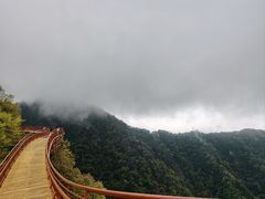 -少华山国家森林公园