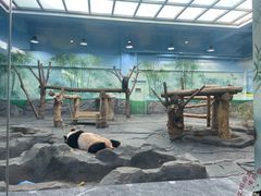 -秦皇岛野生动物园