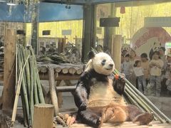 -栾川竹海野生动物园