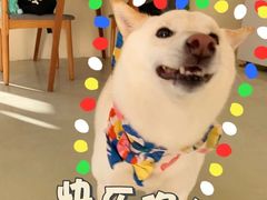 -小意思咖啡店(草桥店)