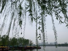 -济南大明湖景区