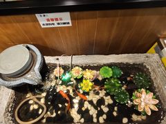 -鱼谦脆皮烤鱼(华阳城店)