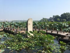 -杭州西湖风景名胜区-钱塘苏小小之墓