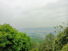 -火炉山森林公园