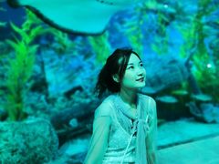 -芜湖新华联大白鲸海洋公园