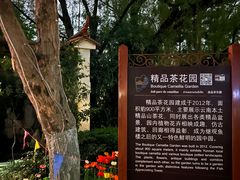 -翠湖公园