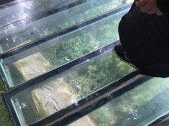 -川西竹海景区