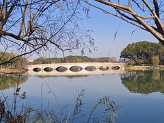 -昆山城市生态森林公园