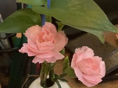 -道南書院·私房菜·早午茶·茶馆