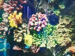 -西安曲江海洋极地公园