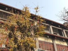 -郫都区农科村景区