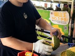 -榴莲BB 四季果园