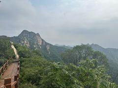 -大岭沟猕猴桃谷风景区