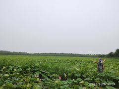 -西青郊野公园