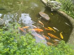 -珠海圆明新园