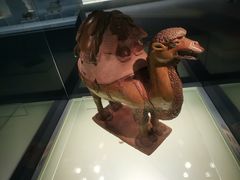 -上海博物馆(人民广场馆)