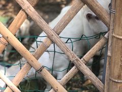 -长兴太湖图影湿地文化园