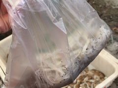 -毕家疃综合市场