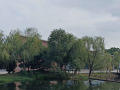 -鄱阳湖国家湿地公园
