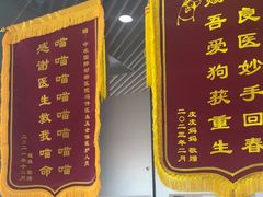-中农国际动物医院24小时·猫科·骨科·急重症中心