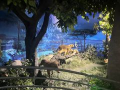 -国家自然博物馆