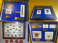 -上海昆虫博物馆