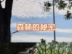 -涂山风景区