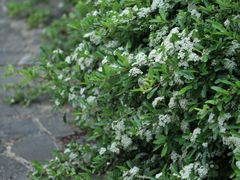 -白塘生态植物园