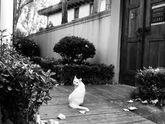 -思念果岭悦温泉