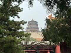 -颐和园