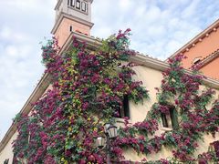 -华谊兄弟（长沙）电影小镇