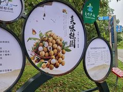-张坝桂圆林公园