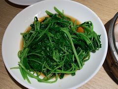 芥蓝苗-佬肥猫(周浦万达店)