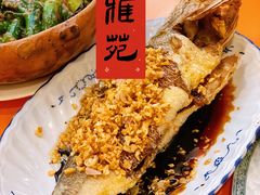 -雅苑餐厅(朝天路店)