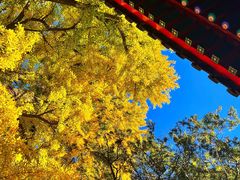 -红螺寺