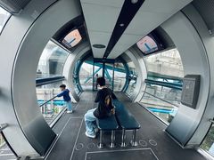 -新加坡摩天观景轮