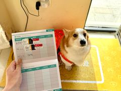 -艾贝尔宠物医院 ·内科全科(梁溪路店)