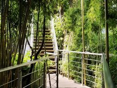 -三利音·浦之舟(滨江大道店)