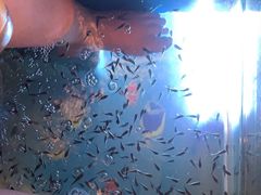 -汤连得温泉馆(宝山店)