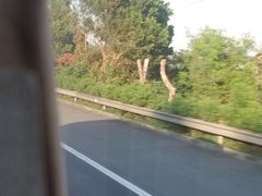 -香港科学馆