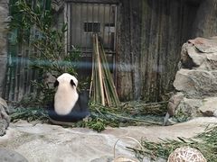 -北京动物园