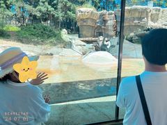 -圣地亚哥动物园
