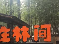 -林间山庄