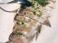 -顺峰(农展馆店)