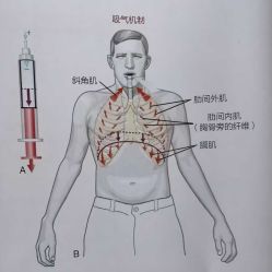 -炼炼有意思·瑜伽·普拉提