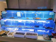 水产区-阿毛饭店(和义路店)